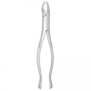 Extracting Forceps #10S