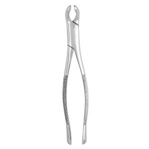 Extracting Forceps #17
