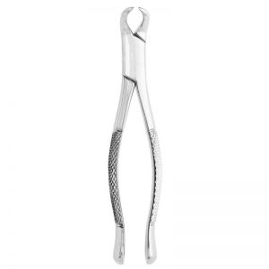 Extracting Forceps #23