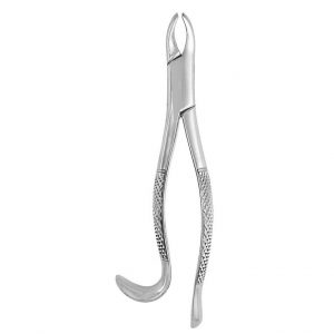 Extracting Forceps #24