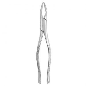 Extracting Forceps #32A