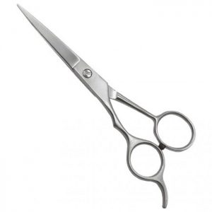 Professional Hair Cutting Scissors